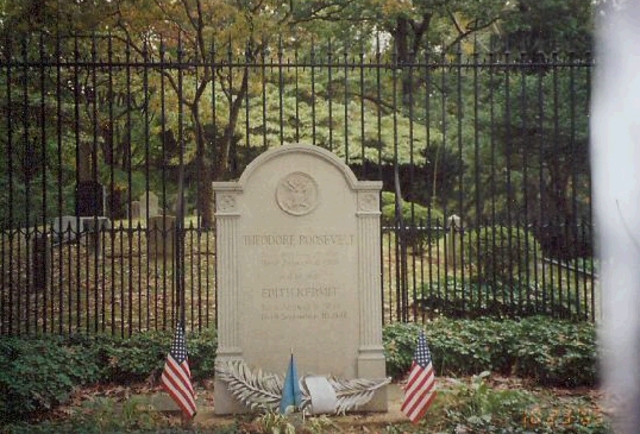 Theodore Roosevelt's Death