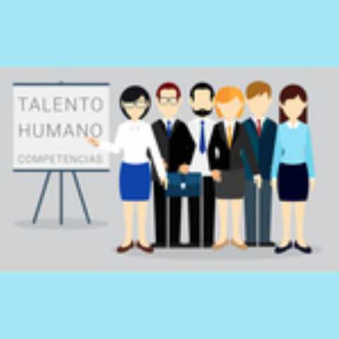 Enfoque: Gestión del talento humano