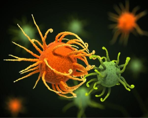 Células madre sintéticas