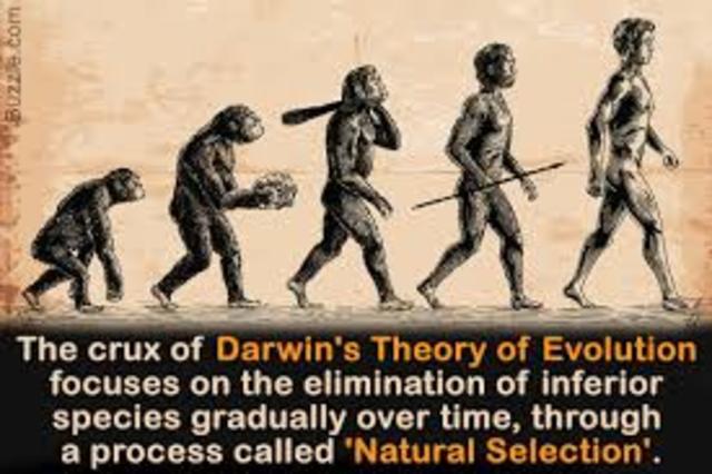 The theory of evolution