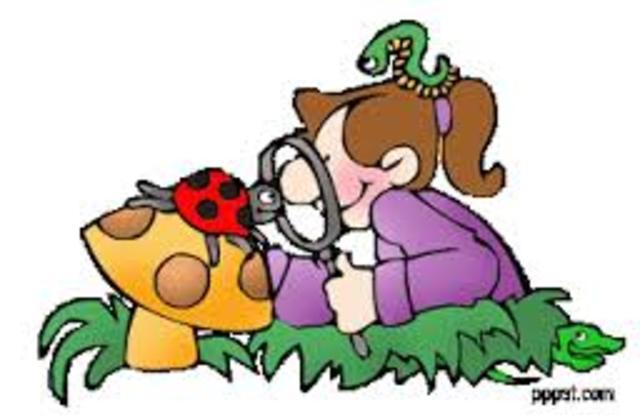 Exploración del medio