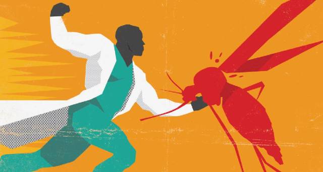 Papiro de Ebers, que menciona unas fiebres pestilentes (malaria), asolaron a la población de las márgenes del Nilo.