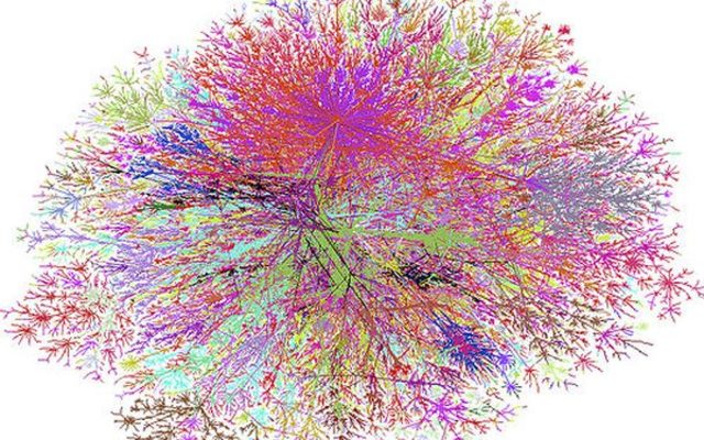 Modelo "red de causalidad" Brian MacMahon