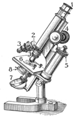Edat Moderna - El microscopi compost