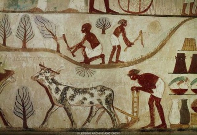 Agriculture in Egypt 5,500 B.C