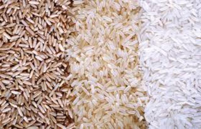 Rice domesticated in China 6,200 B.C