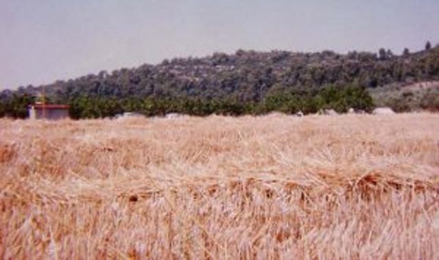 First farmers in South America 3000 B.C