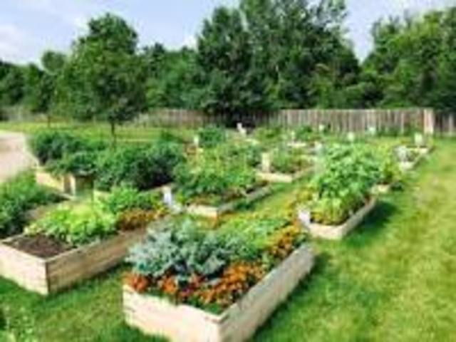 Neue Stadt, Neues Gluck