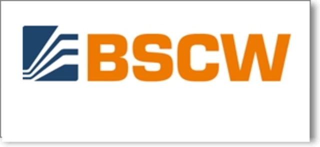 BASIC SUPPORT FOR COLLABORATIVE WORKING