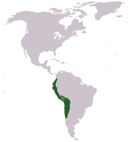 CONQUESTA IMPERI INCA -1521