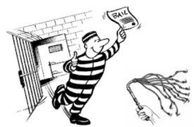 8.Protections against Excessive Bail, Cruel and Unusual Punishment