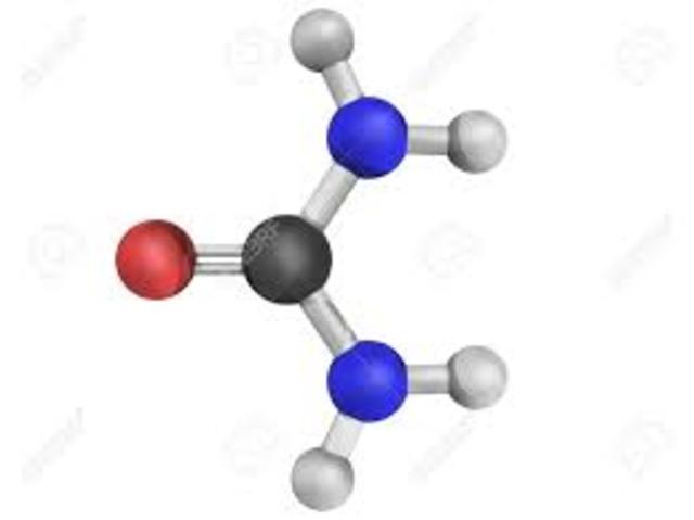 EL VITALISMO Y EL COMIENZO DE LA QUÍMICA ORGÁNICA
