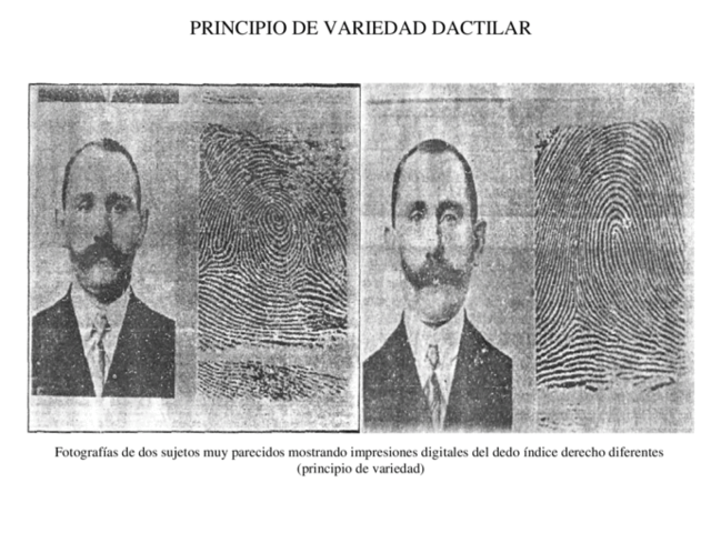 PERENNIDAD, INMUTABILIDAD Y DIVERSIDAD