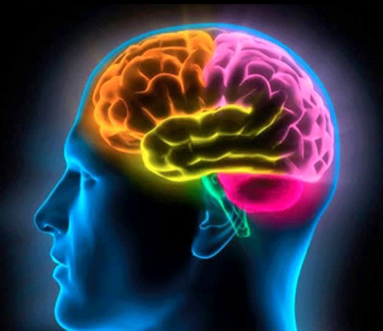 Teoría de los recursos cognitivos