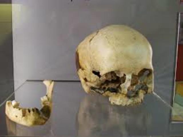 HOMO ANTECESSOR