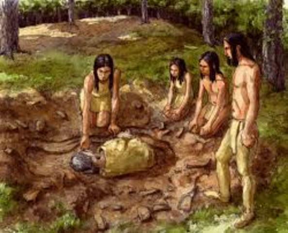 HOMO NENDERTHALENSIS