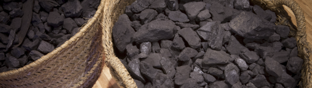 Gran importancia pel carbo