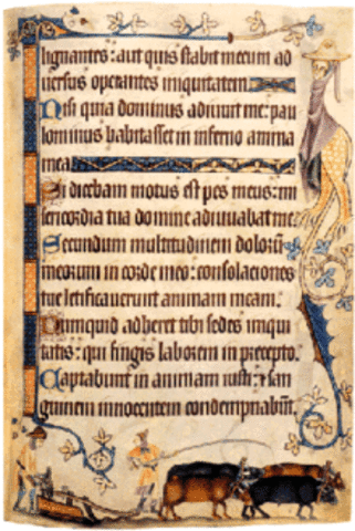 Piers Plowman or Visio Willelmi de Petro Ploughman