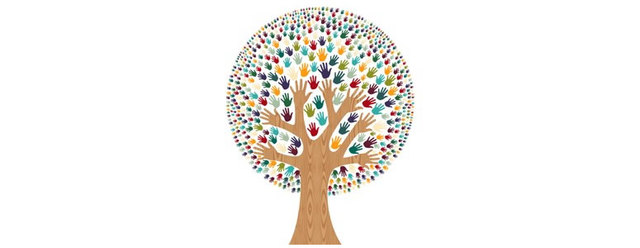 Se establece la ordenación y las enseñanzas correspondientes a la Educación Primaria en  Andalucía.