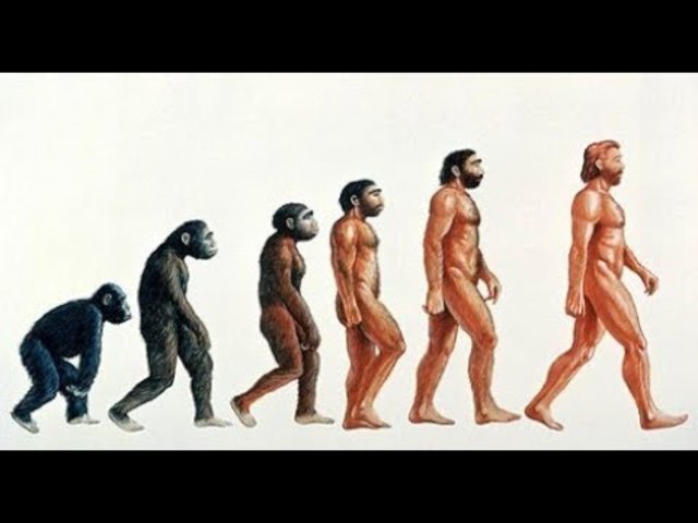 Youtube Video About Darwinism