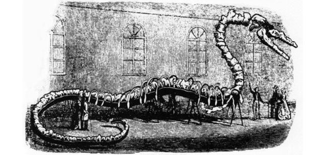 On the Origin of Whales