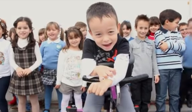 Ordenación de la Educación Especial