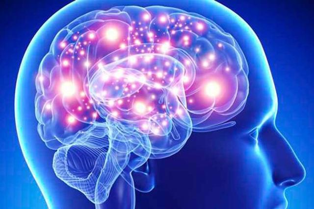 Intento de creación de una maquina semejante al cerebro