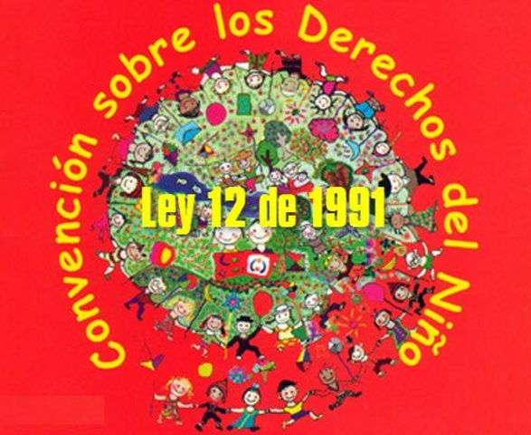 Ley 12 de 1991