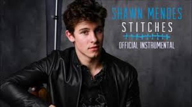 Song "Stitches" is released