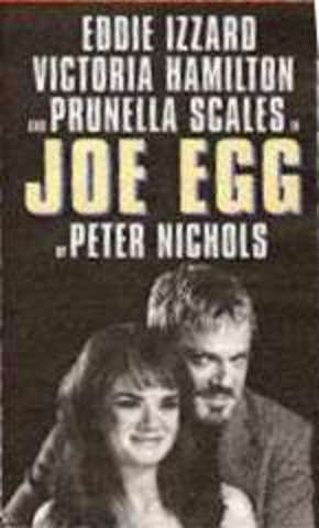 A Day in the Death of Joe Egg By Peter Nichols