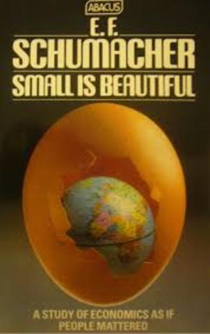 Small is Beautiful By Ernst Friedrich Schumacher