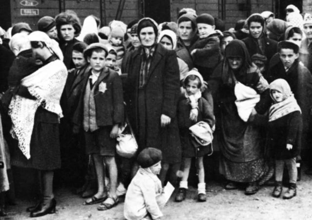 Hitler Takes over Hungary