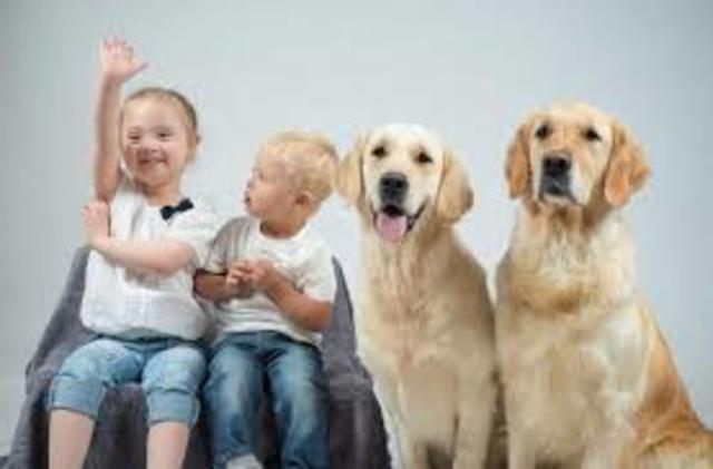 Este segundo principio incorpora solidaridad y fraternidad