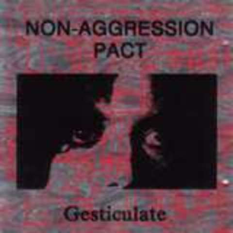 Non-Aggression Pact; Germany and Russia; divide Poland