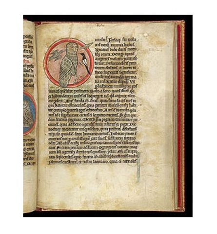 “The Owl and the Nightingale”