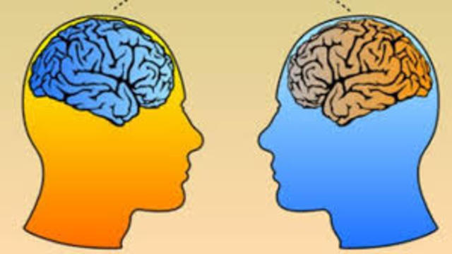 Coeficiente Intelectual (CI) LEWIN TERMAN