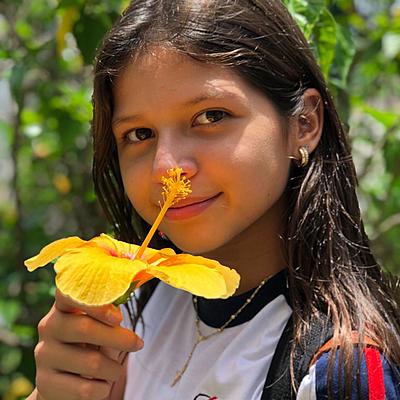 Timeline: Linha do tempo de Tina