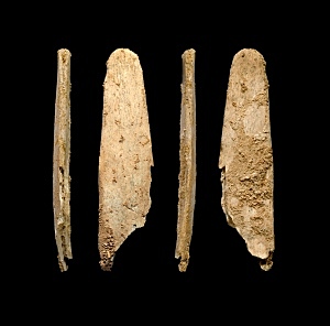 Descobriment d'eines d'os i banya