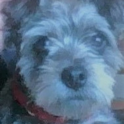 Timeline: El Imperi Dexterià