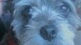 Timeline: El Imperi Dexterià