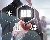 Organización Matricial