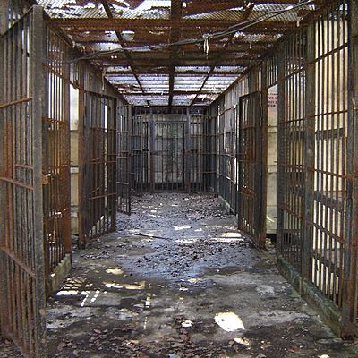 Timeline: CÁRCEL Y FÁBRICA