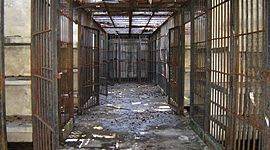 Timeline: CÁRCEL Y FÁBRICA