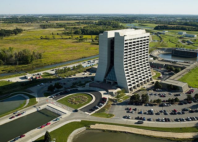 I got my first official job.