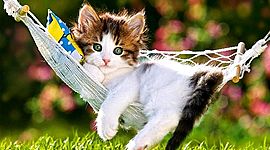 Timeline: time capsule