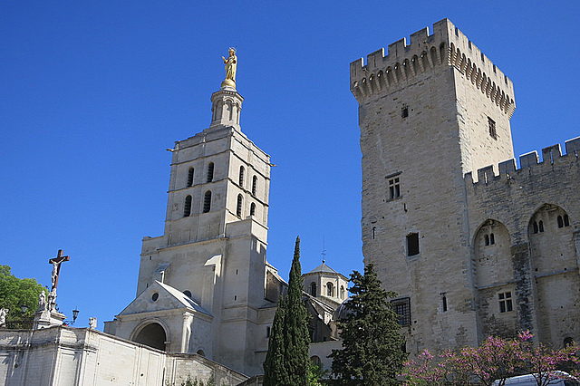 Papal Schism(pre reformation 1)