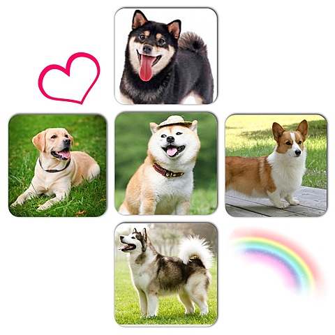 I assembled my dog army!