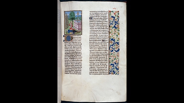 Culture (Daily life/culture)