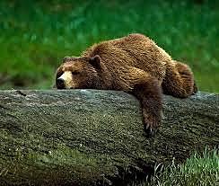 People Banish Wyatt Because He Has Terrible Style