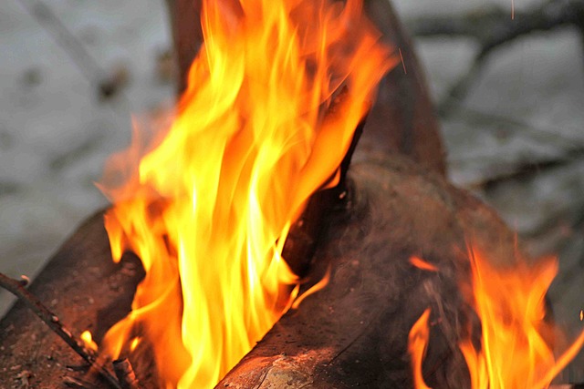 Katniss and Peeta make an entrance with them on fire for the opening ceremonies  and begin to start their training afterward